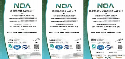 滨州ISO三体系与潍坊ISO体系认证咨询服务及网络技术支持